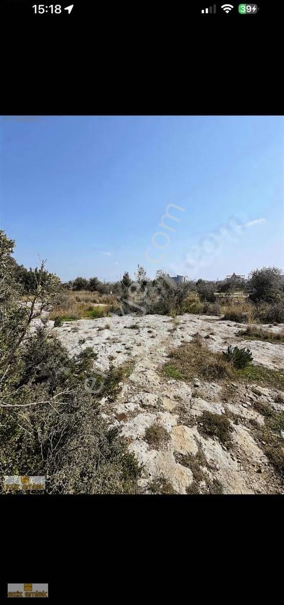 Aziz Emlak'tan Arpac'ta Satılık 674 Metre Mersin Manzaralı Arsa - Görsel 7