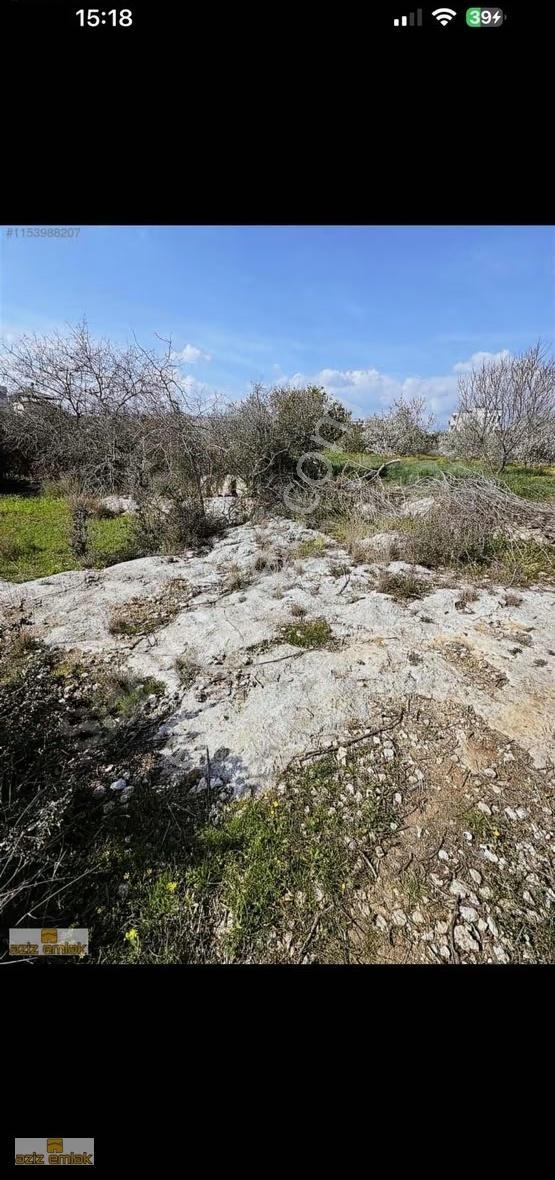 Aziz Emlak'tan Arpac'ta Satılık 674 Metre Mersin Manzaralı Arsa - Görsel 3