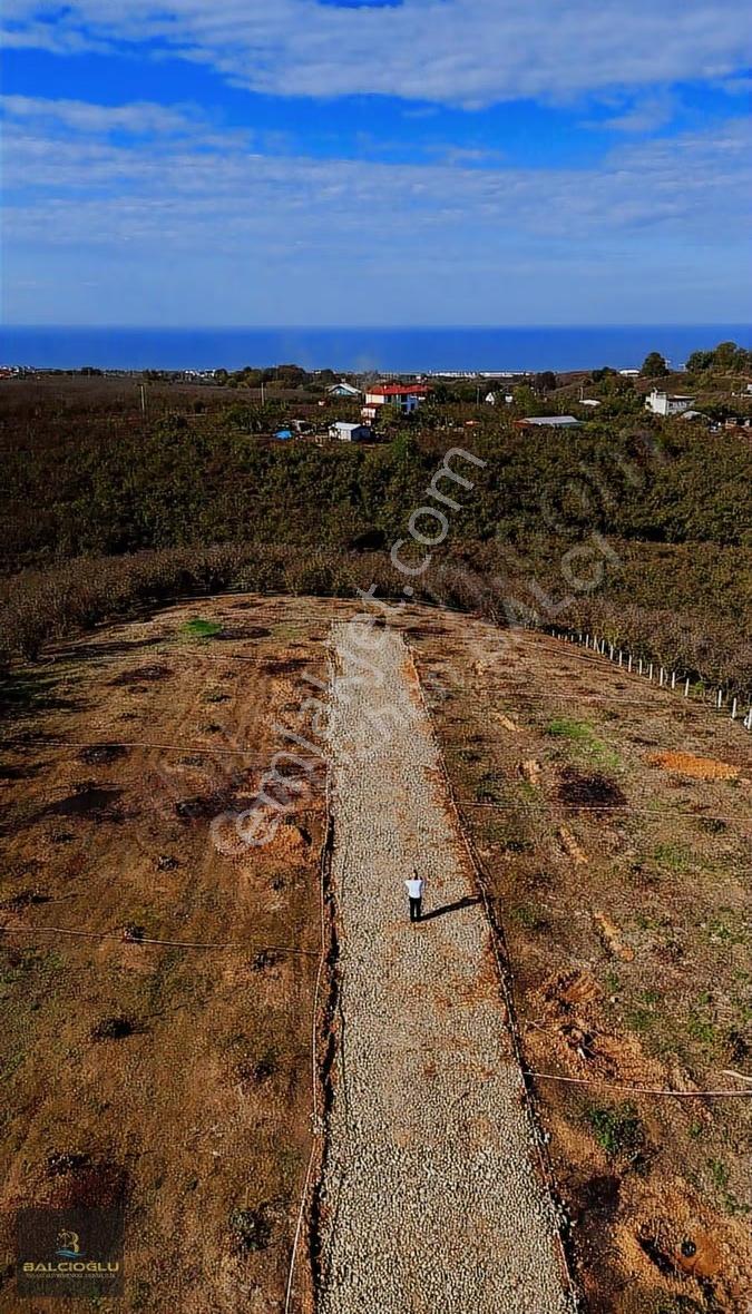 Balcıoğlundan Satılık Komple Deniz Manzaralı İmarlı 970 M2 Arsa - Görsel 23