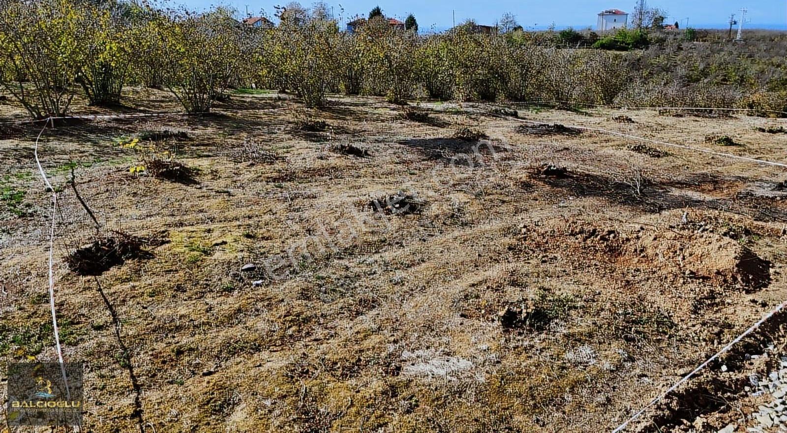 Balcıoğlundan Satılık Komple Deniz Manzaralı İmarlı 970 M2 Arsa - Görsel 12