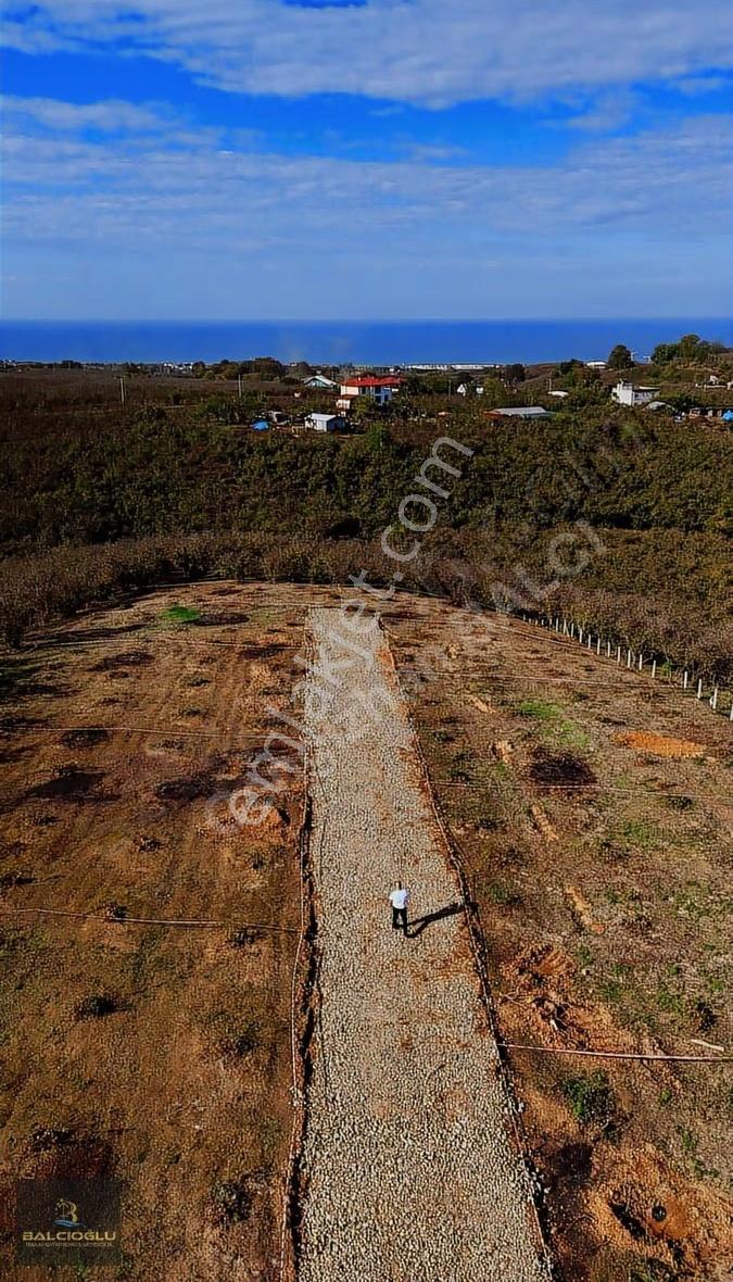 Balcıoğlundan Satılık Komple Deniz Manzaralı İmarlı 970 M2 Arsa - Görsel 21