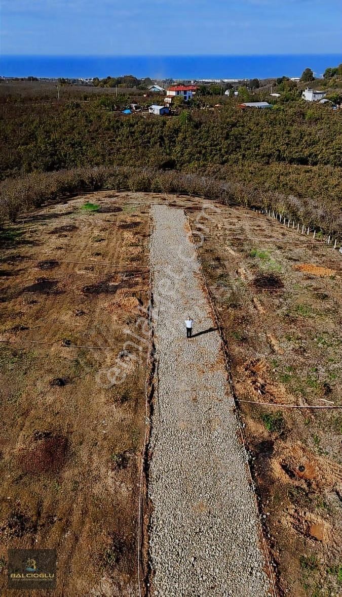Balcıoğlundan Satılık Komple Deniz Manzaralı İmarlı 970 M2 Arsa - Görsel 24