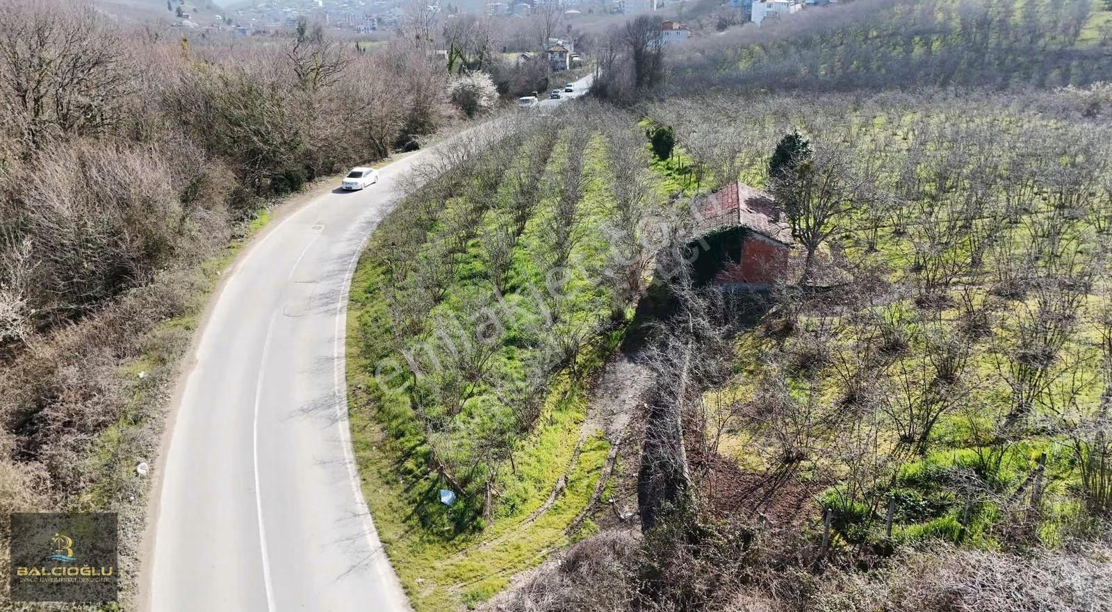 Balcıoğlundan Ağalar Mahallesinde 1200m2 Uygun Fiyat İmarlı Arsa