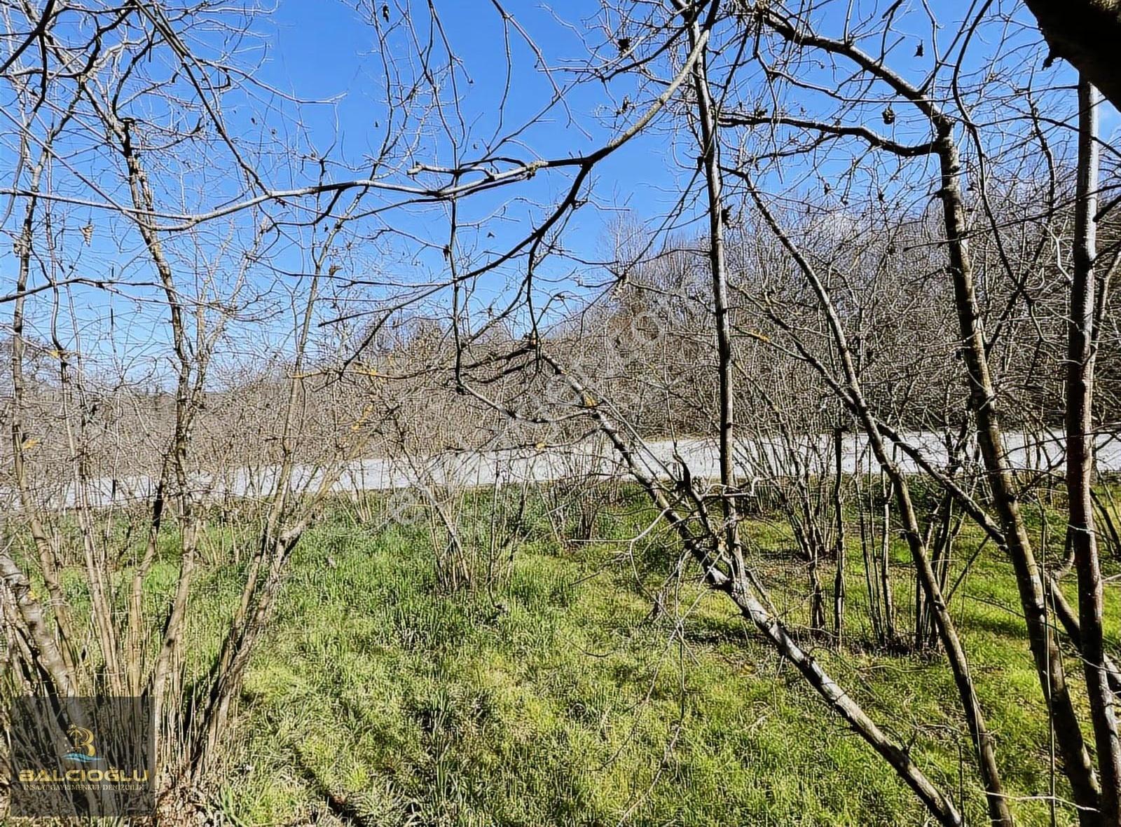 Balcıoğlundan Ağalar Mahallesinde 1200m2 Uygun Fiyat İmarlı Arsa - Görsel 6