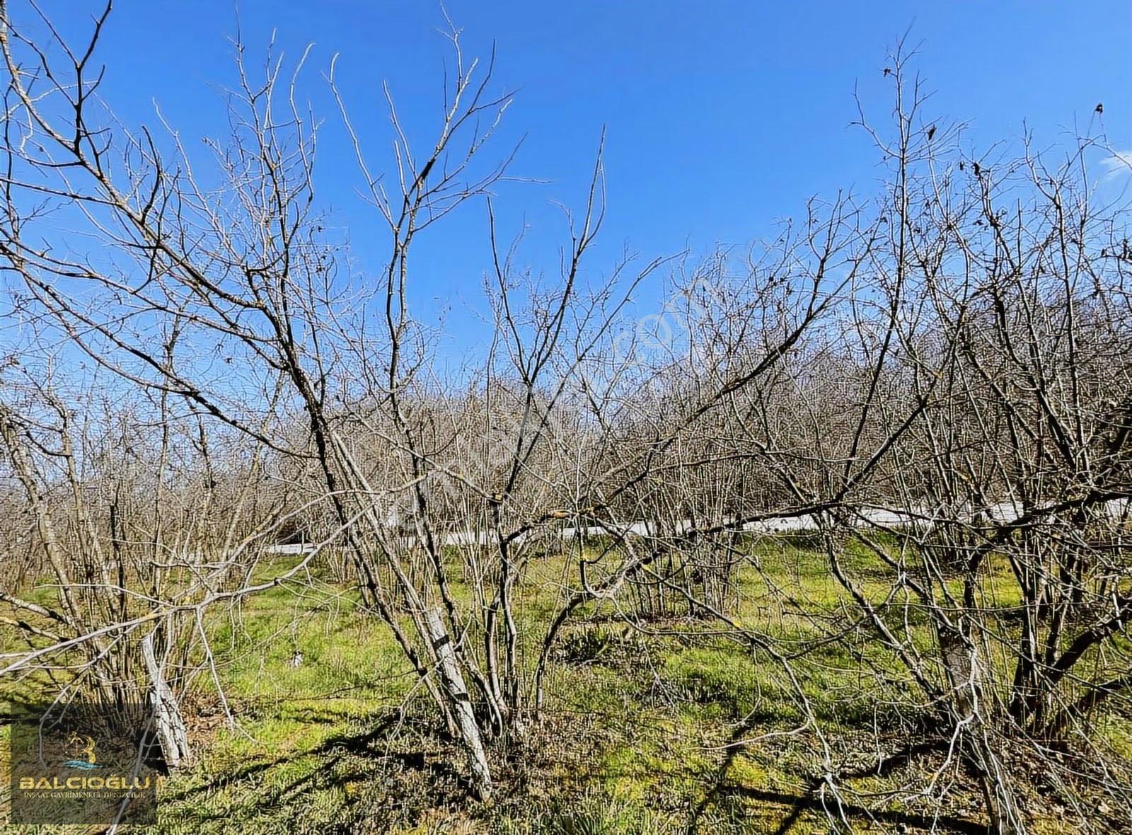 Balcıoğlundan Ağalar Mahallesinde 1200m2 Uygun Fiyat İmarlı Arsa - Görsel 3