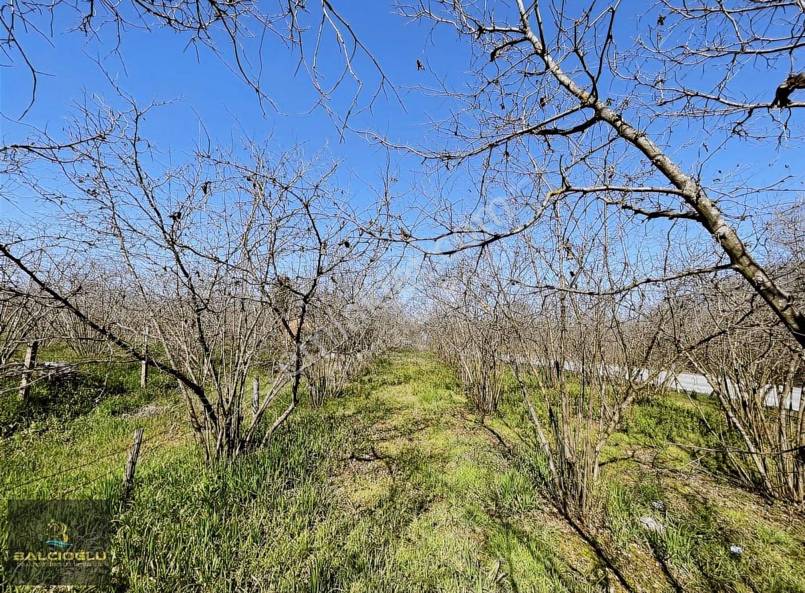 Balcıoğlundan Ağalar Mahallesinde 1200m2 Uygun Fiyat İmarlı Arsa - Görsel 28
