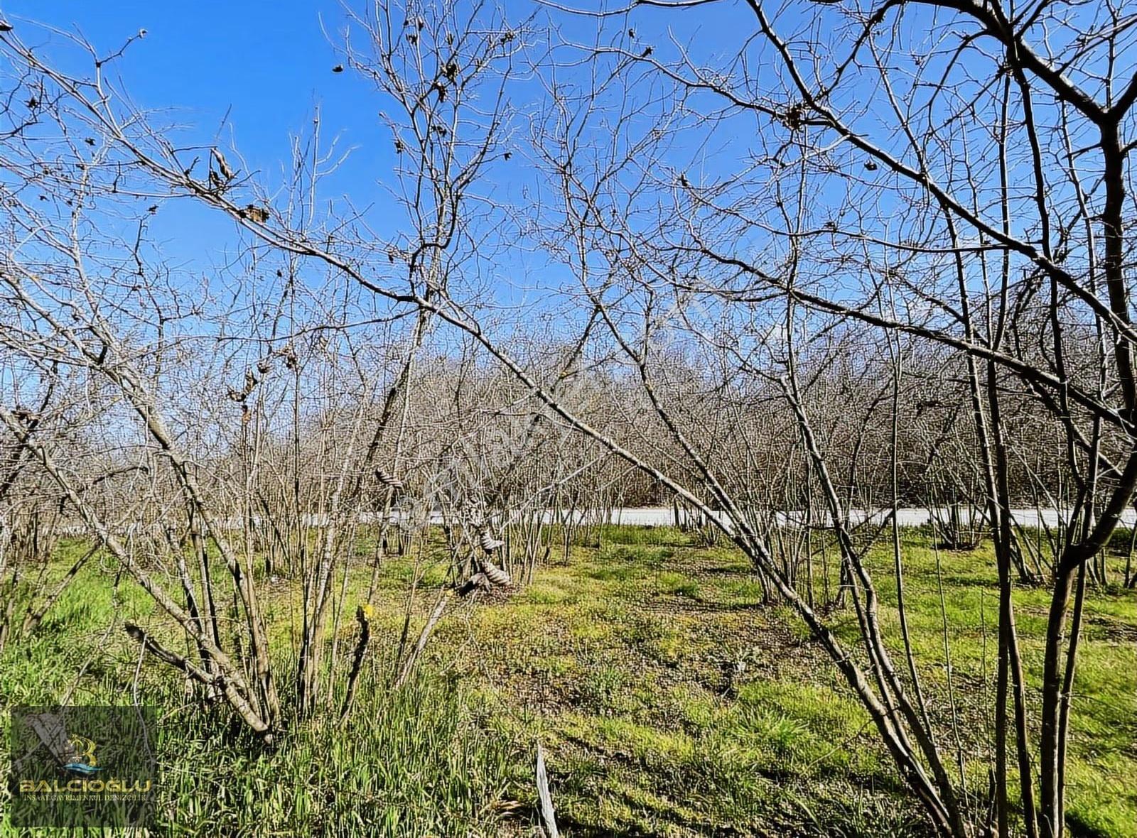 Balcıoğlundan Ağalar Mahallesinde 1200m2 Uygun Fiyat İmarlı Arsa - Görsel 2