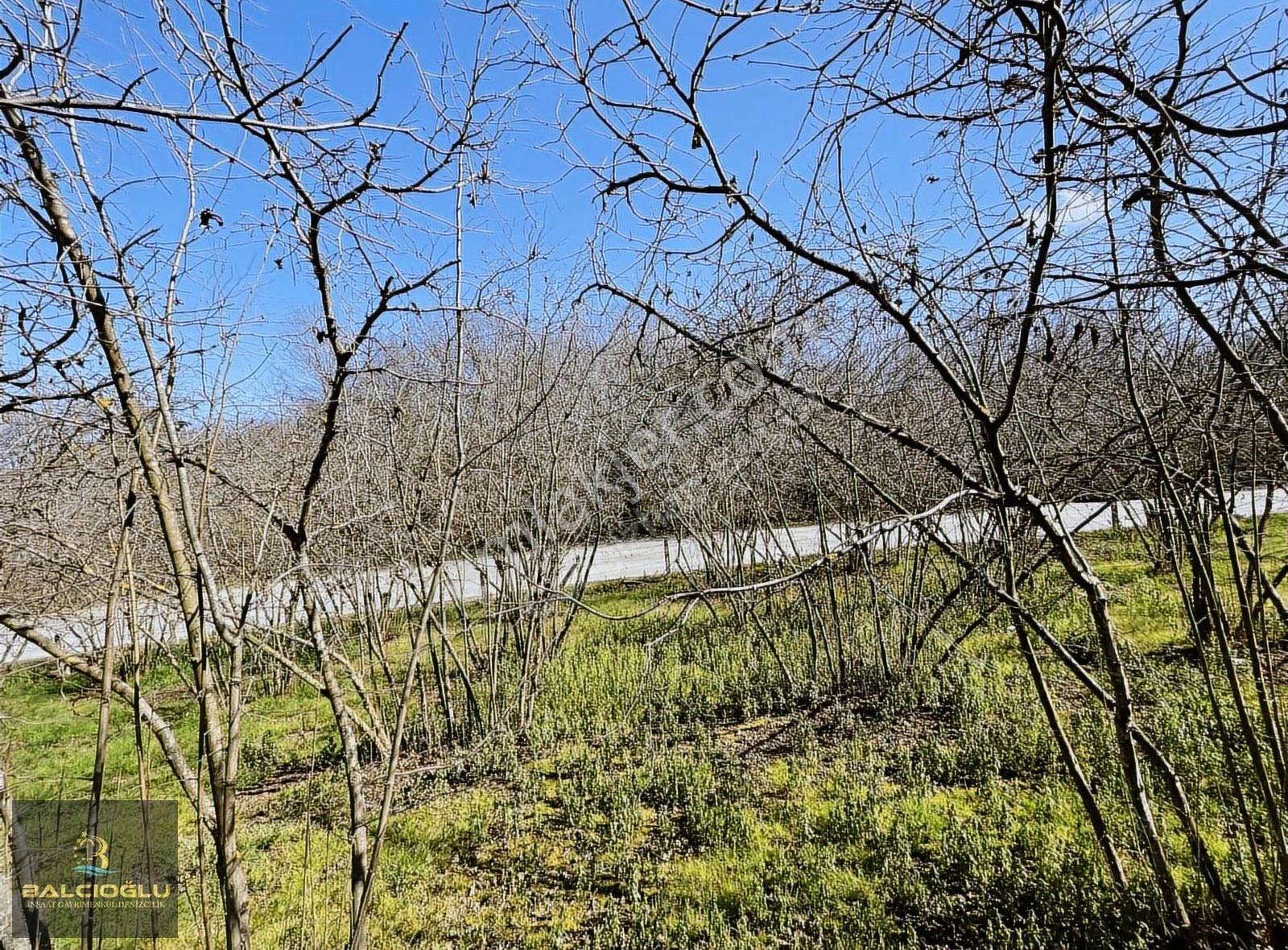 Balcıoğlundan Ağalar Mahallesinde 1200m2 Uygun Fiyat İmarlı Arsa - Görsel 7