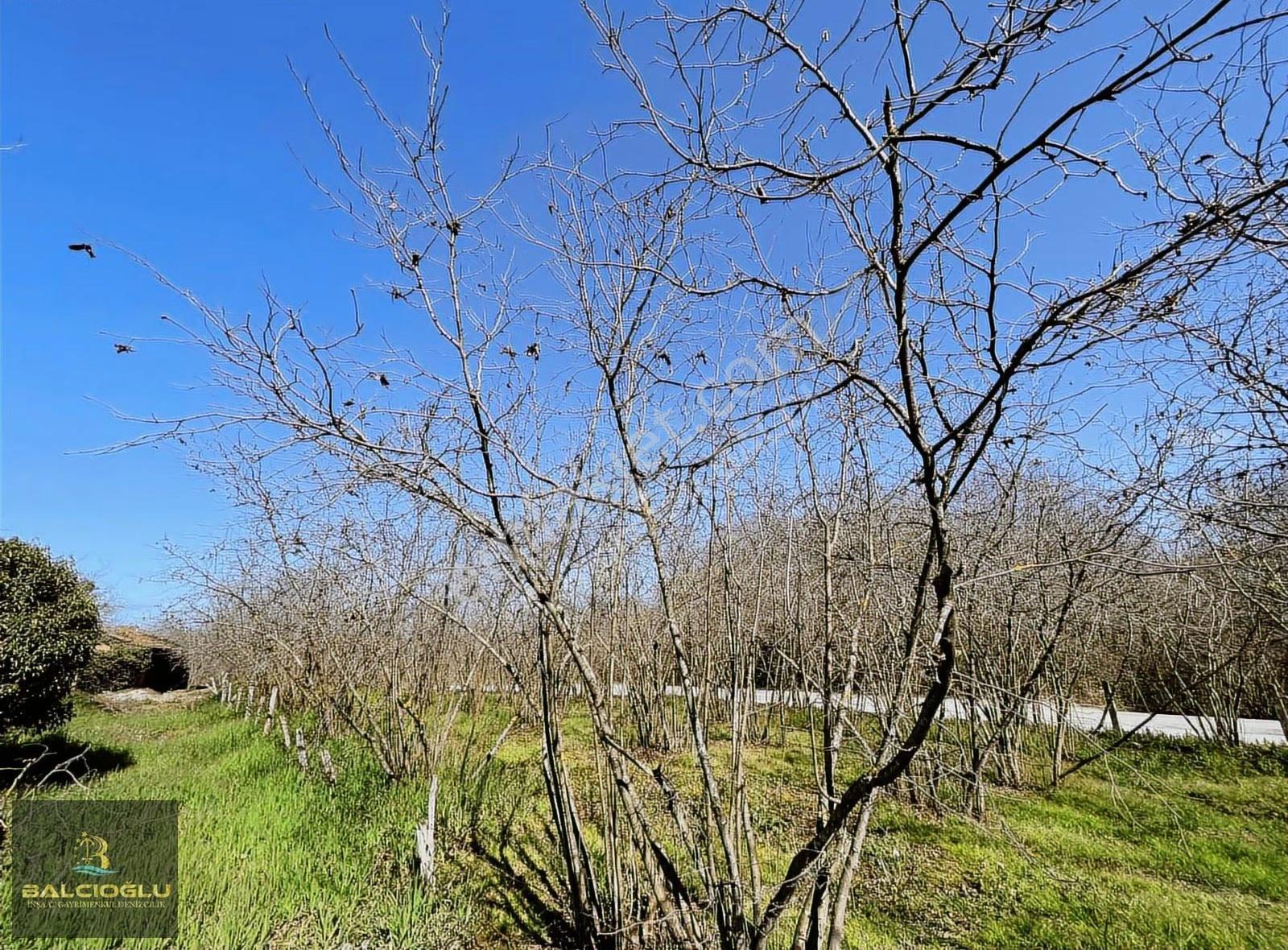 Balcıoğlundan Ağalar Mahallesinde 1200m2 Uygun Fiyat İmarlı Arsa - Görsel 11