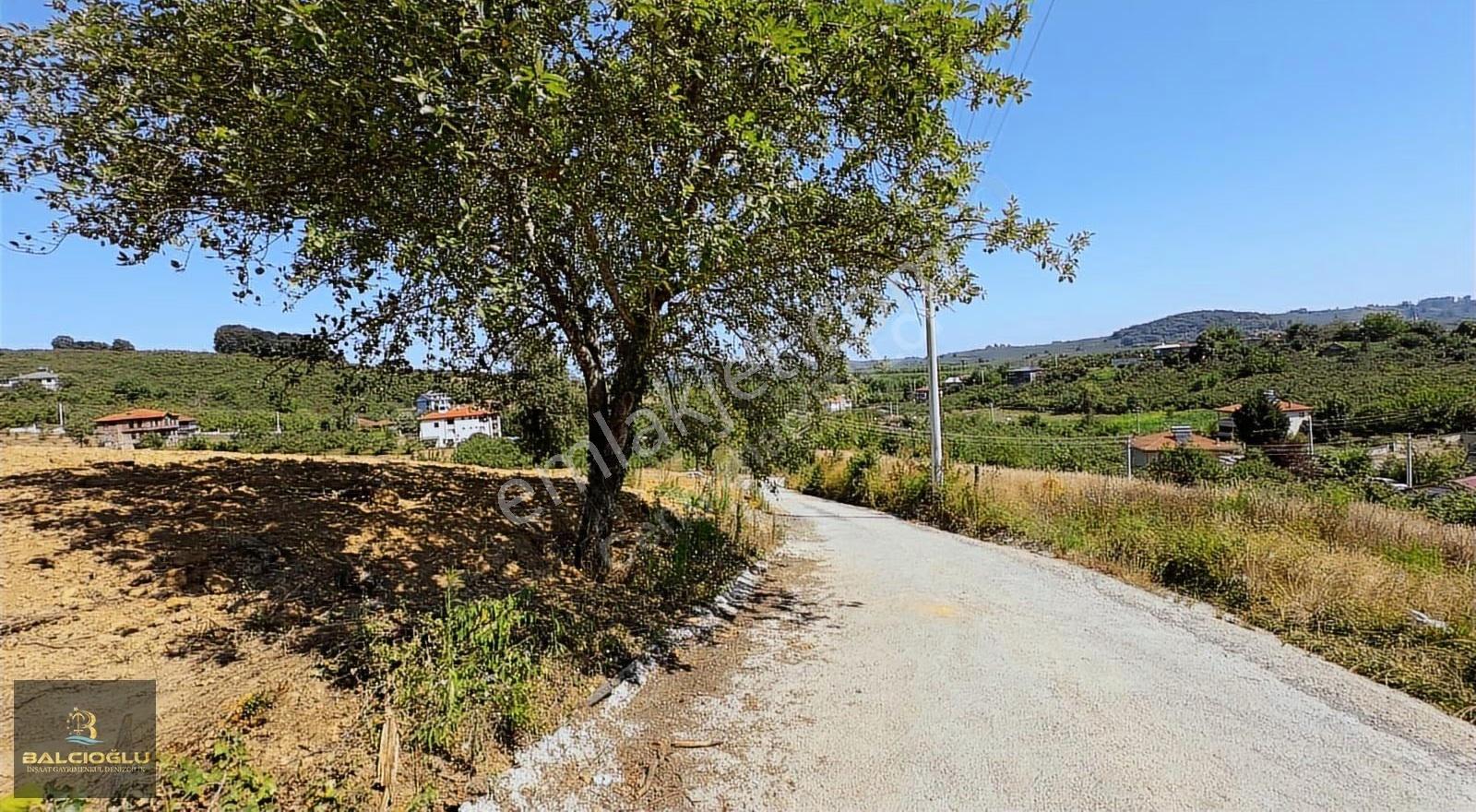 Balcıoğlundan Satılık Yola Cephe İmarlı Yapı Ruhstlı Prjeli Arsa - Görsel 31