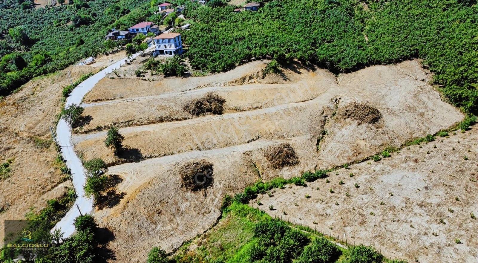Balcıoğlundan Satılık Yola Cephe İmarlı Yapı Ruhstlı Prjeli Arsa - Görsel 3