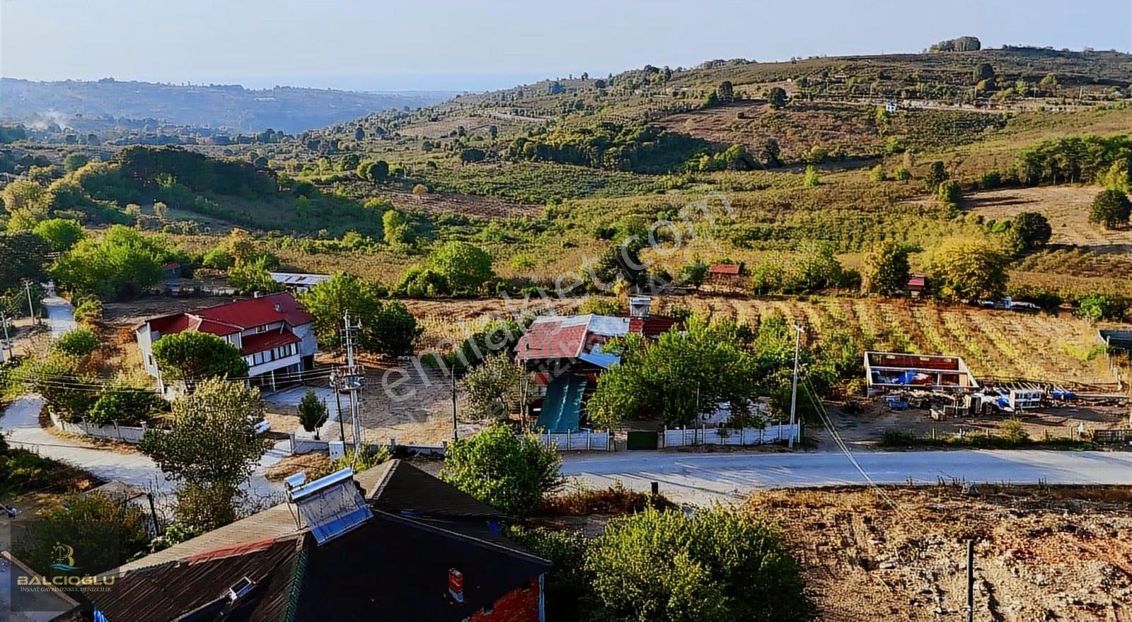 Balcıoğlundan Satılık Doğanın İçinde Deniz Manzralı İmarlı Arsa - Görsel 15