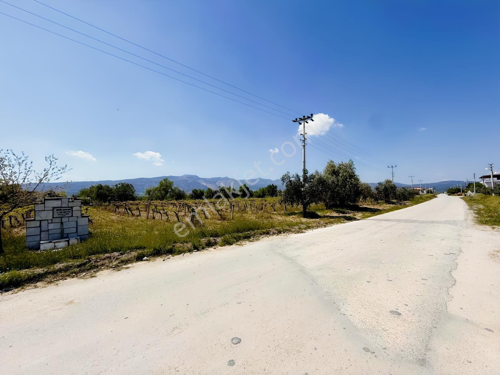 Yatırımlüx Den 2.521 M2 Oğuz Mh Özel Parsel S148 - Görsel 8