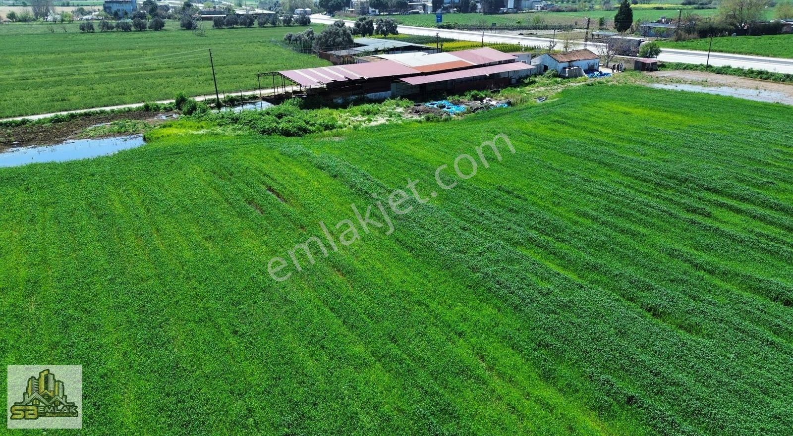 Sb Emlak'tan Zeytinova'da Mah. Kiralık Sulu Arazi - Görsel 9