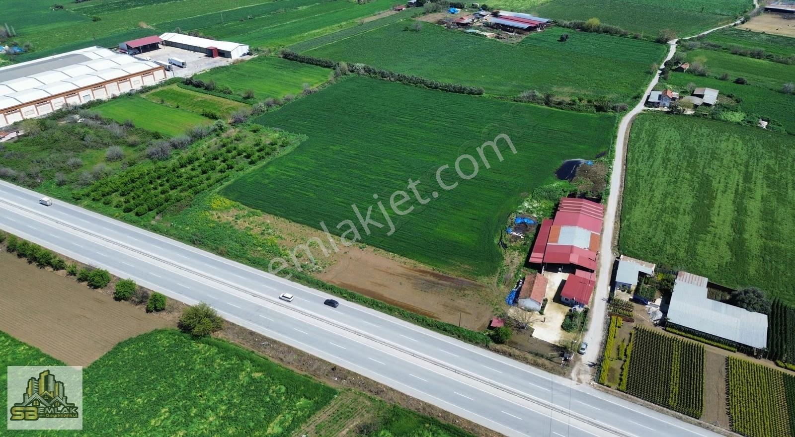 Sb Emlak'tan Zeytinova'da Mah. Kiralık Sulu Arazi - Görsel 6