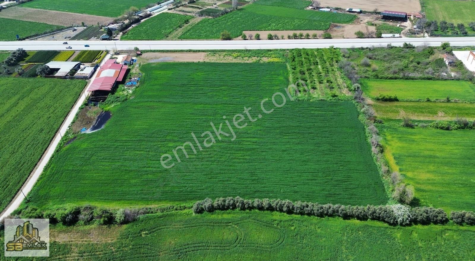 Sb Emlak'tan Zeytinova'da Mah. Kiralık Sulu Arazi - Görsel 2