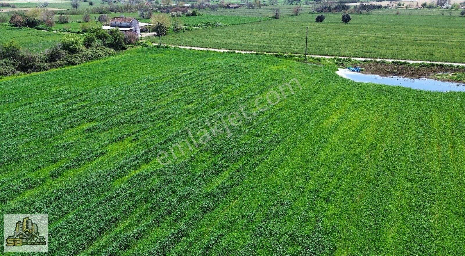 Sb Emlak'tan Zeytinova'da Mah. Kiralık Sulu Arazi - Görsel 8