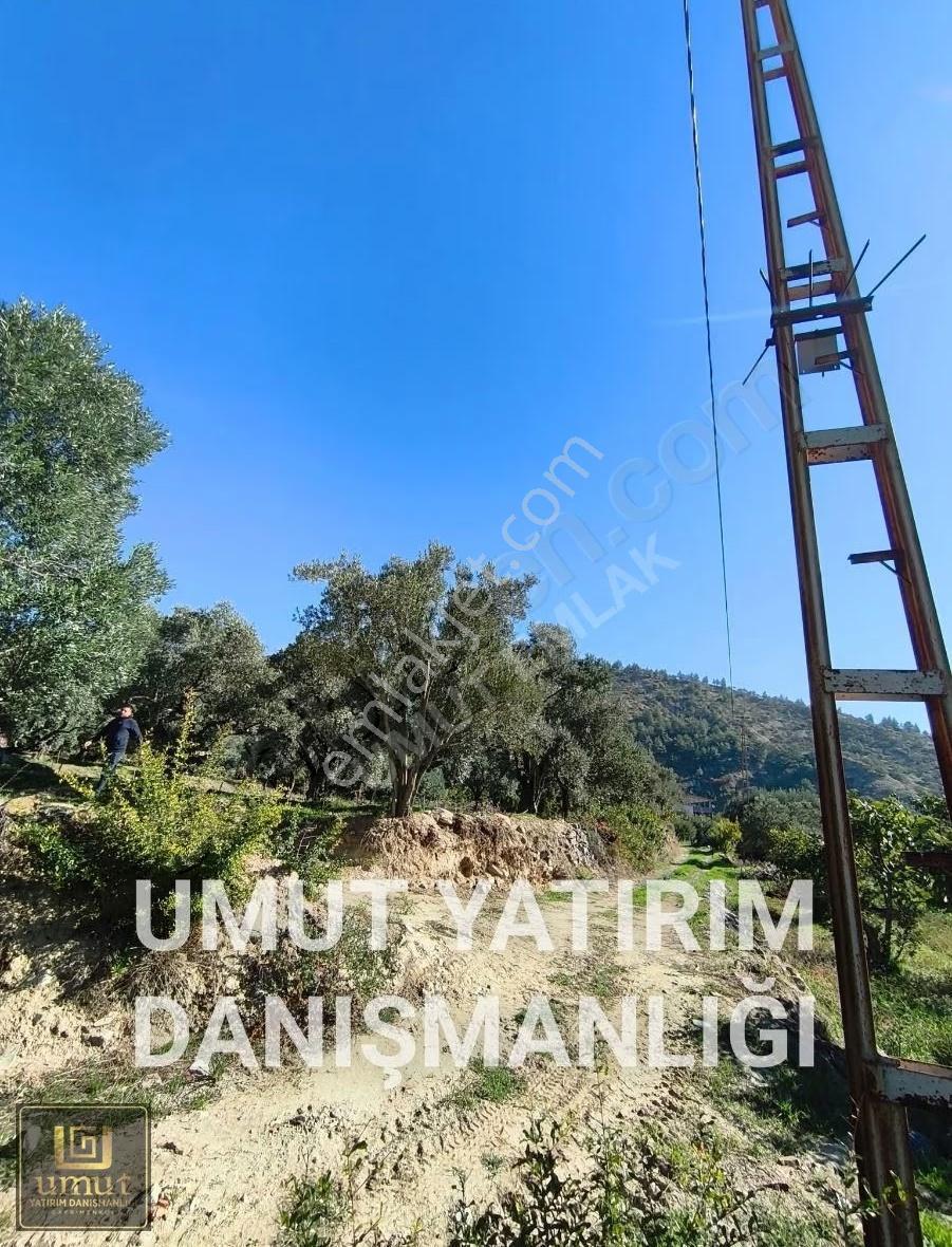 Umut Emlak'tan Köy İçi İmarlı Zeytinlik Satılık İçine Ev Yapılır - Görsel 8