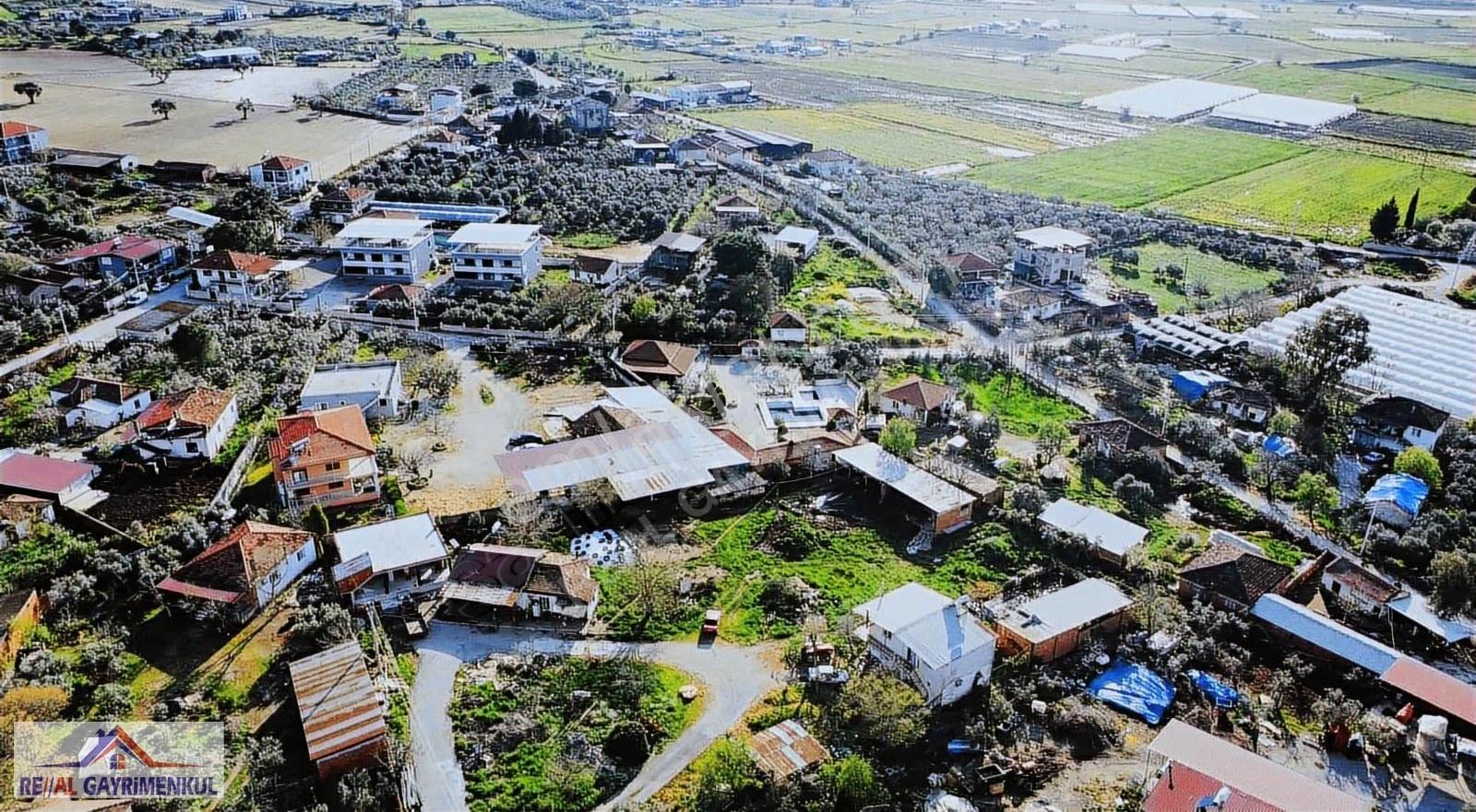 Real'den Menderes Çileme'de 4000 M2 Üzerine Kurulu Çiftlik - Görsel 7