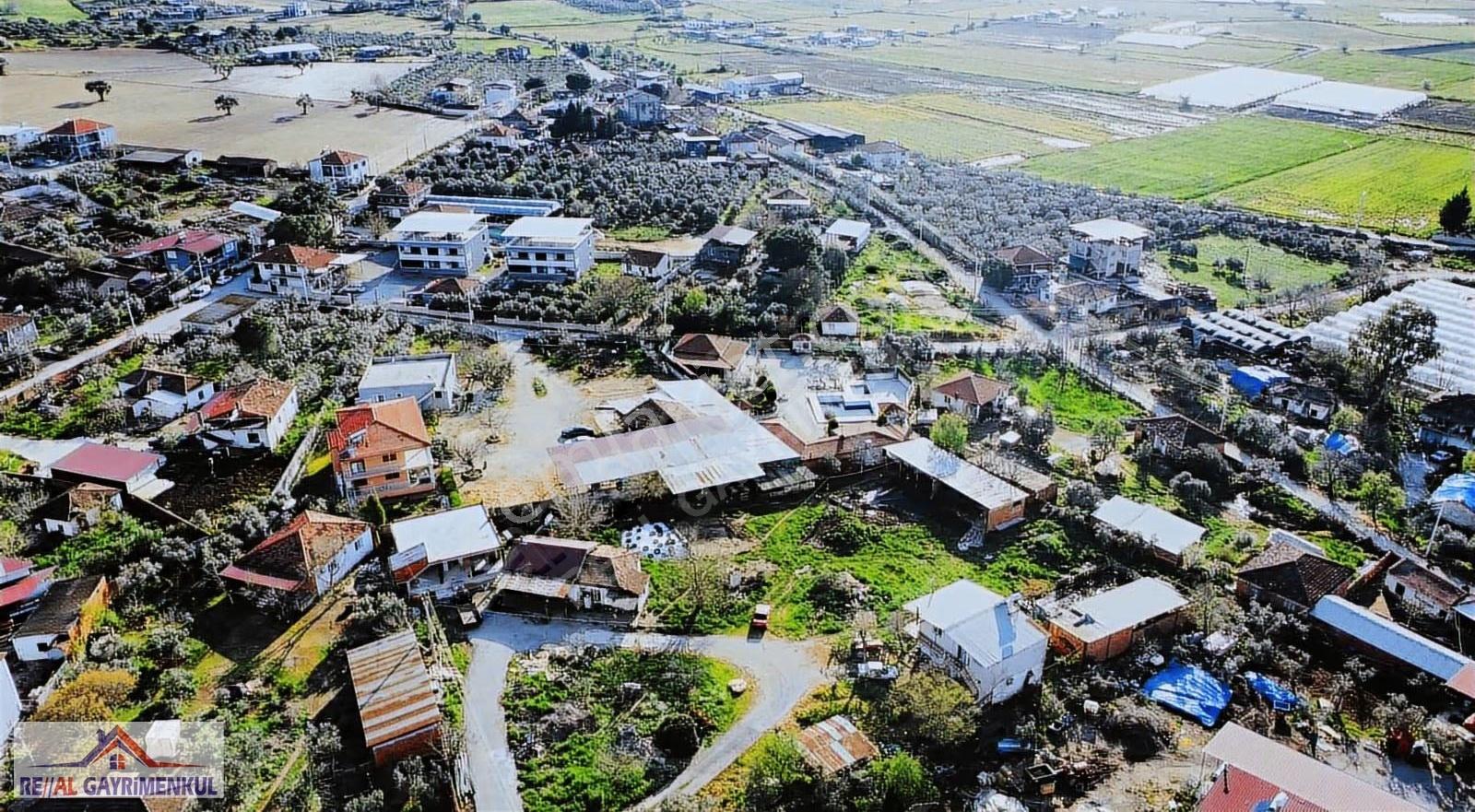 Real'den Menderes Çileme'de 4000 M2 Üzerine Kurulu Çiftlik