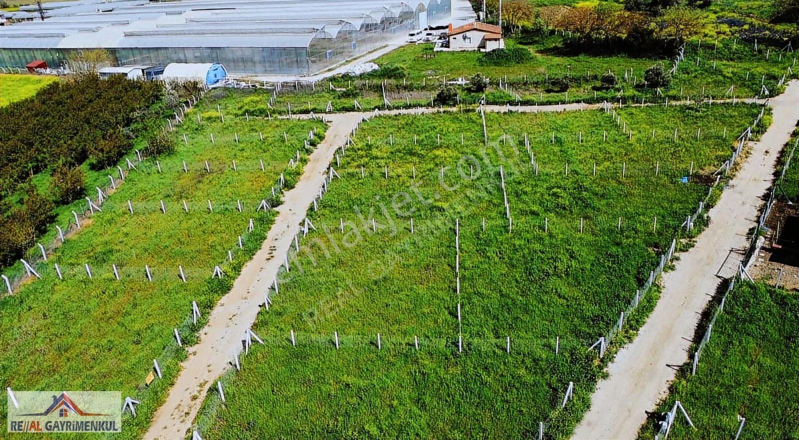 Real'den Değirmendere'de Elektrik Ve Su Aktif Bahçe - Görsel 6