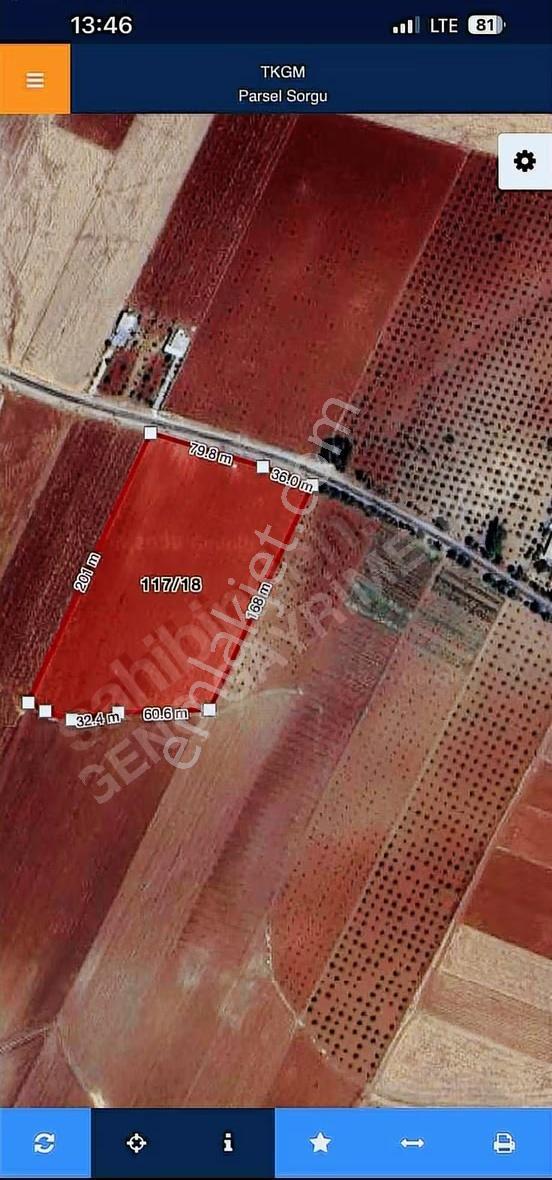 Satılık Tarla: Zeytinlik, Sulama Sistemli Ve Yola Cepheli - Görsel 2
