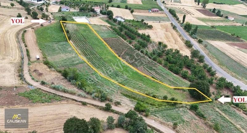 Yazıbaşı Köyü Satılık 5.100 M2 Tarla - Görsel 11