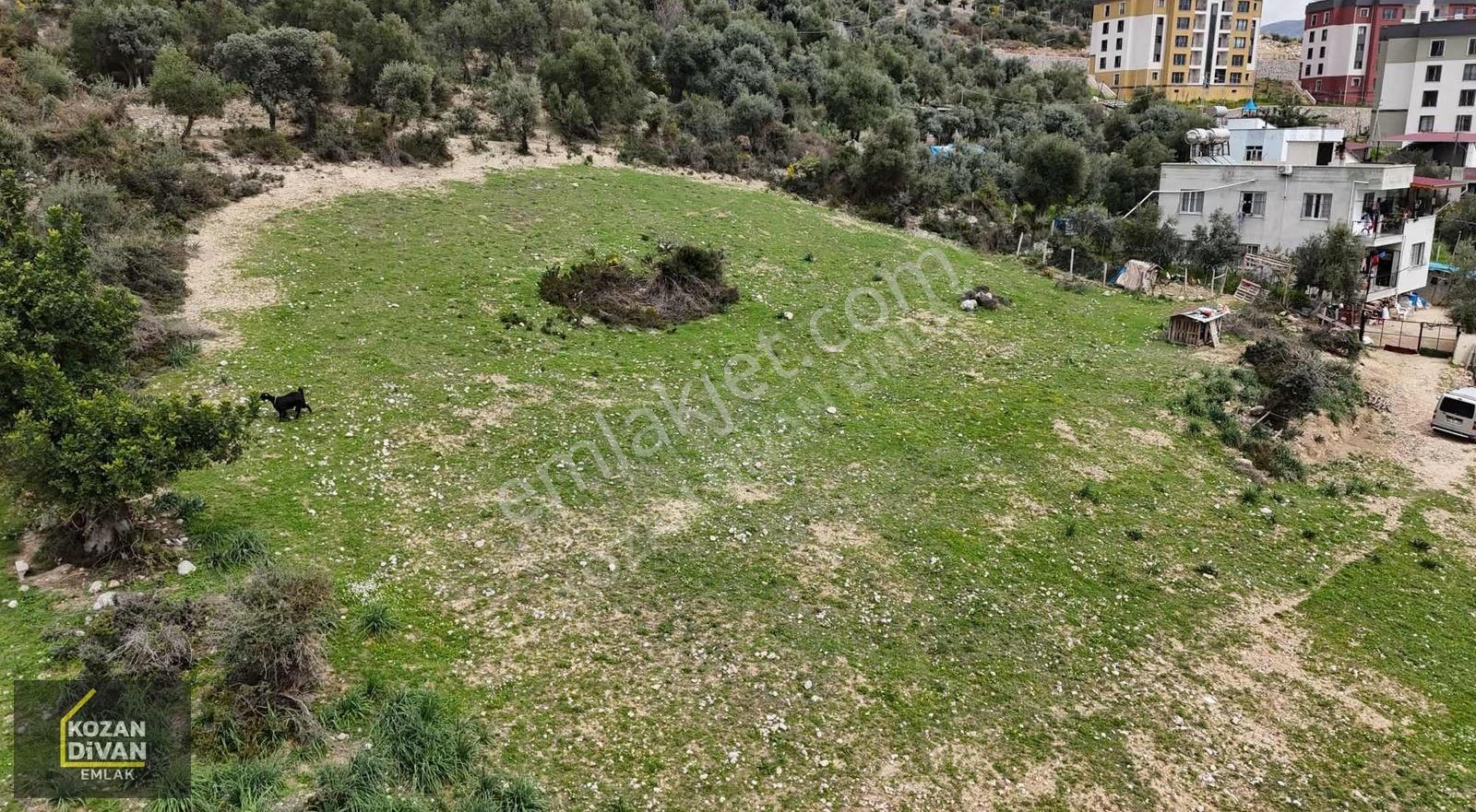 Kozan Divan Emlak'tan Yeni Tokilere Komşu 2.375 M2 Arsa - Görsel 2