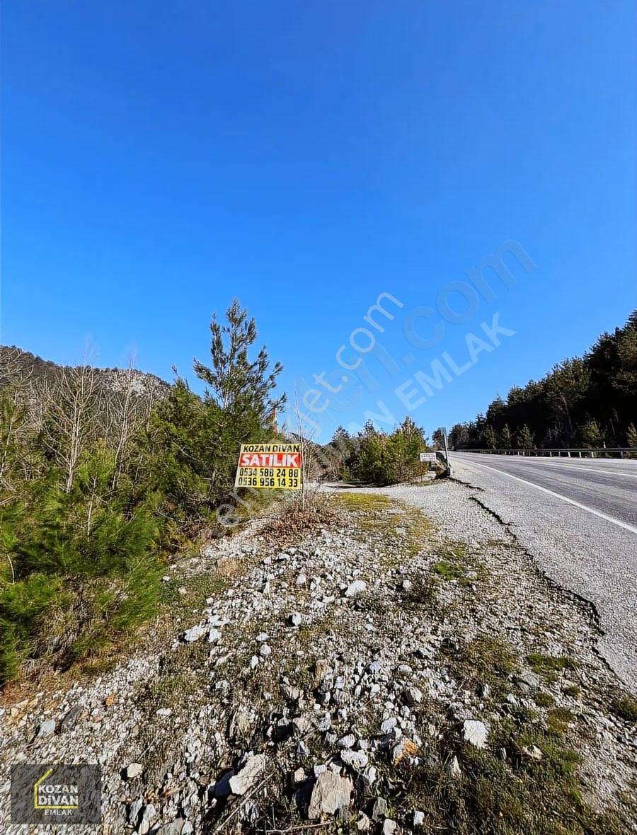 Kozan Divan Emlak'tan Tek Tapu Geniş Arazi - Görsel 2