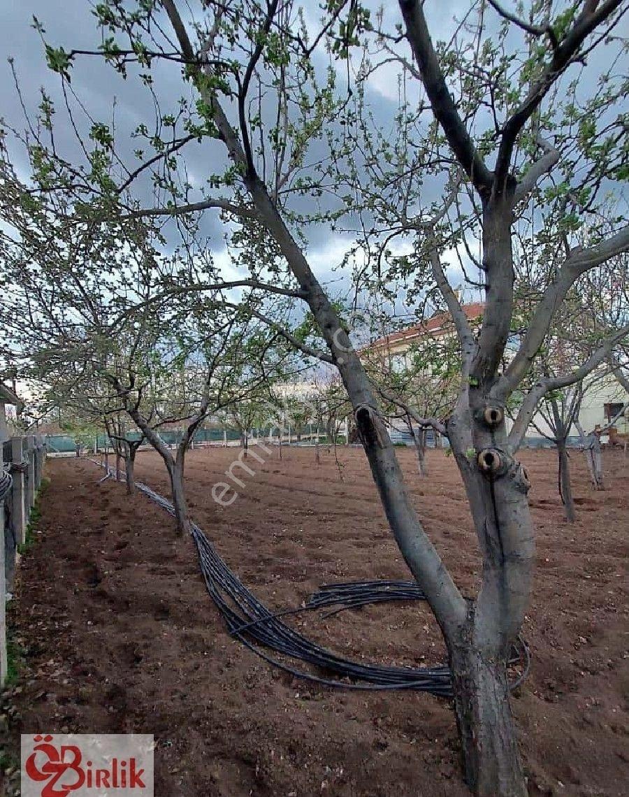 Çubuk Barbaros Mah. Satılık İmarlı Tek Tapu Arsa - Görsel 4
