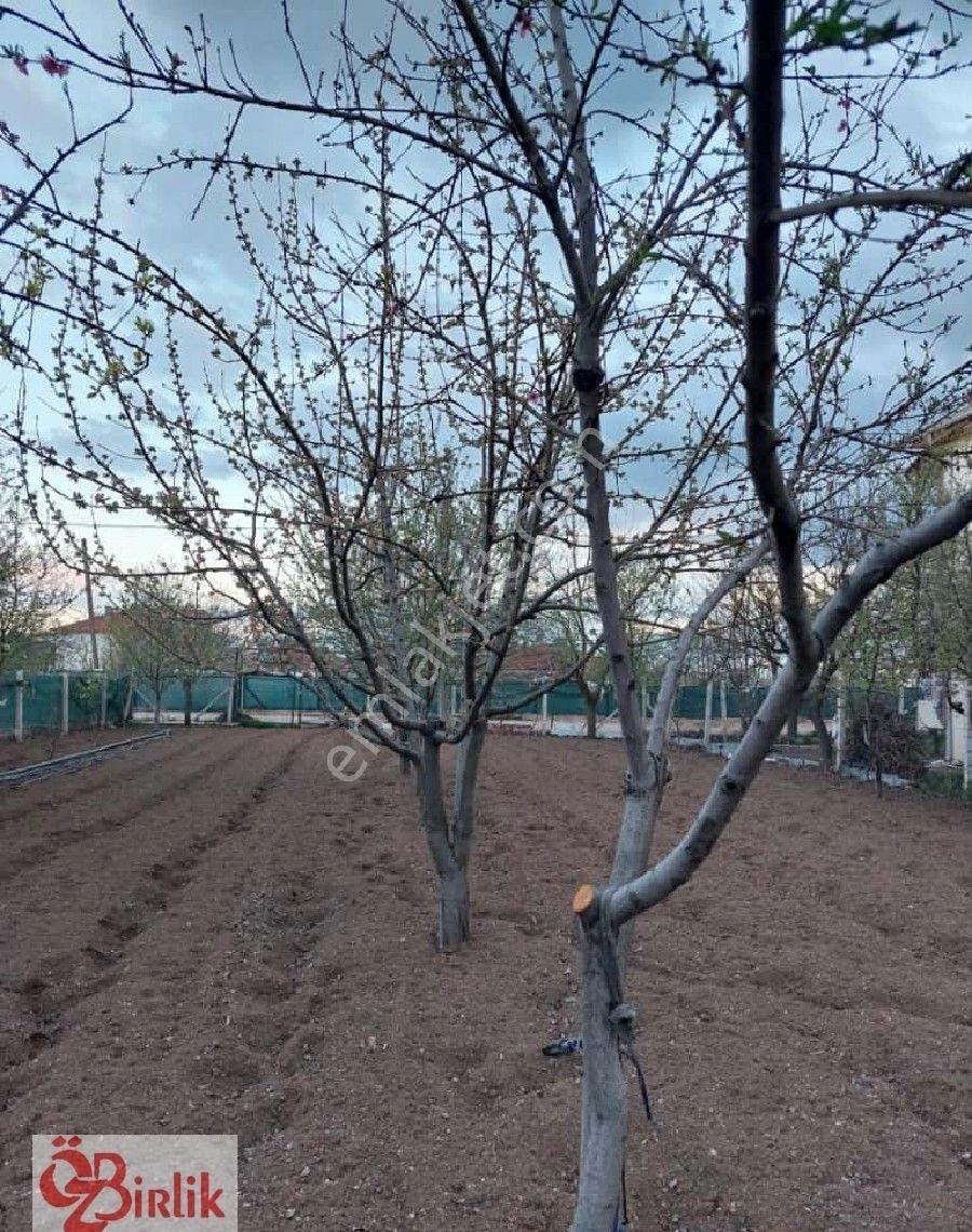 Çubuk Barbaros Mah. Satılık İmarlı Tek Tapu Arsa - Görsel 11