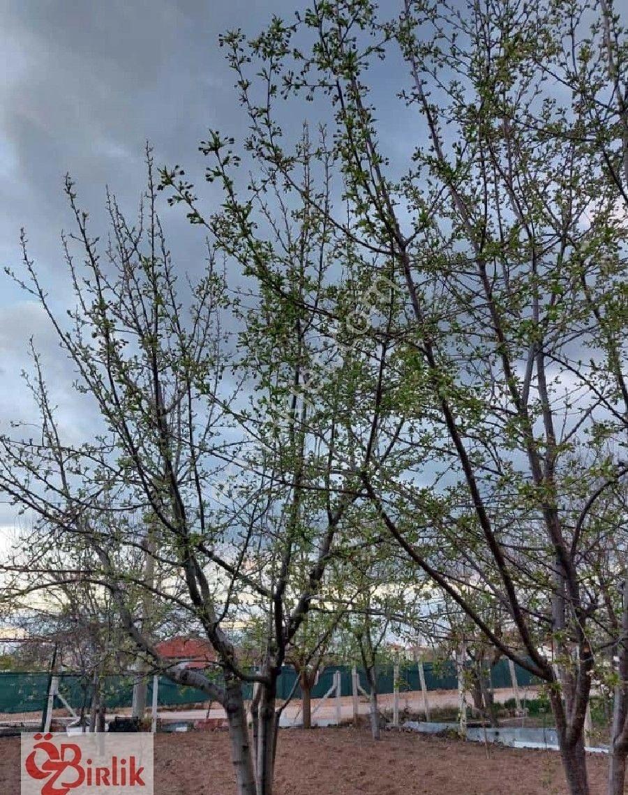 Çubuk Barbaros Mah. Satılık İmarlı Tek Tapu Arsa - Görsel 15