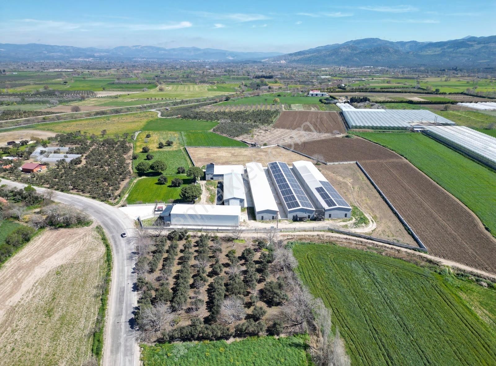 Burhaniye-edremit Yolunda, Toplam 7000 M² Alanlı Kiralık Depolar - Görsel 16