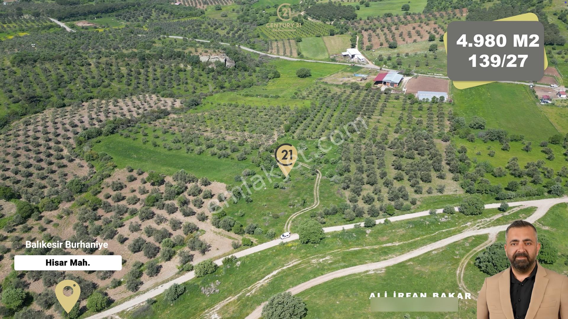 Burhaniye Hisar'da Satılık,kadastral Yolu Bulunan,4980 M² Çamlık - Görsel 3