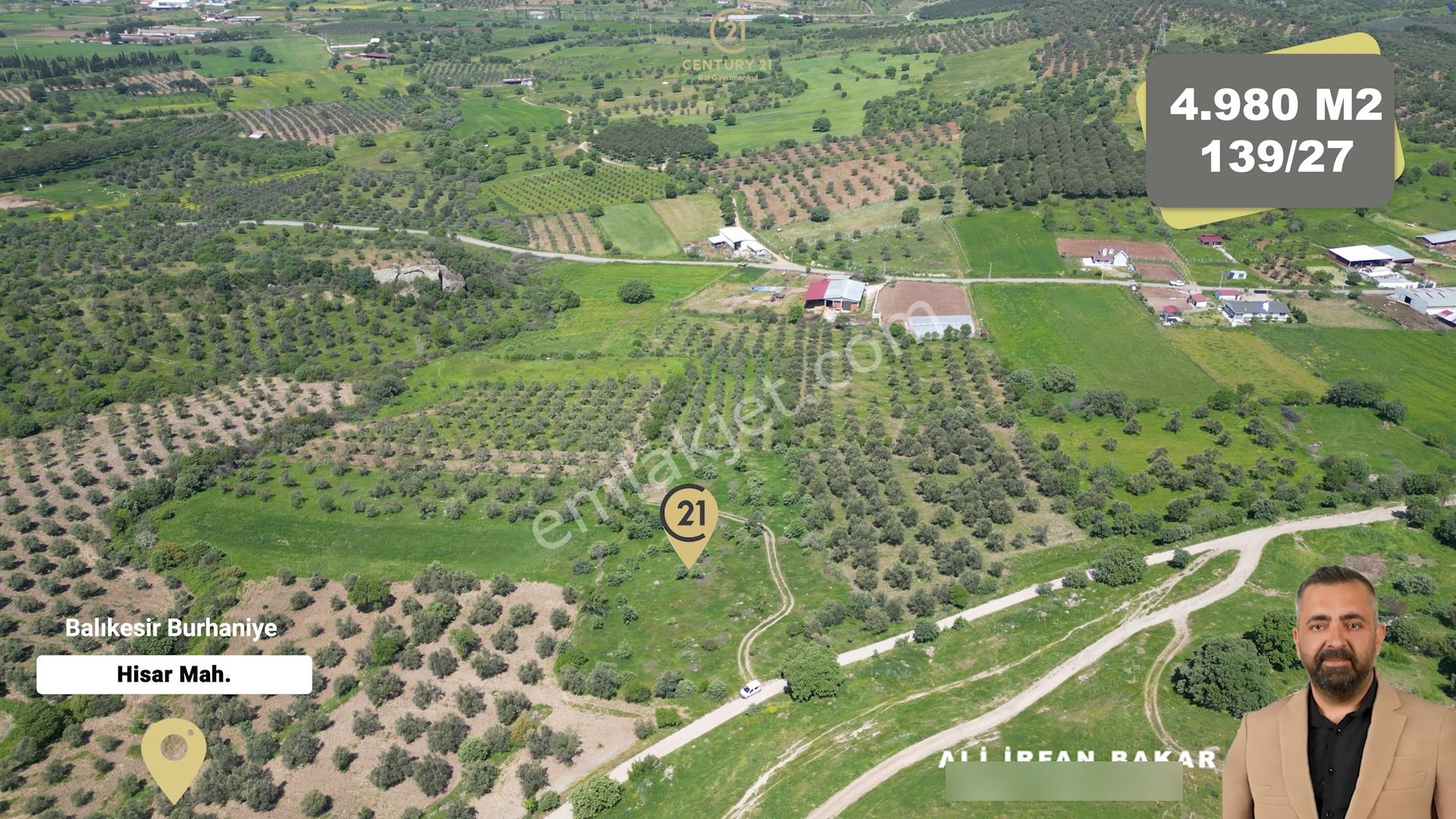 Burhaniye Hisar'da Satılık,kadastral Yolu Bulunan,4980 M² Çamlık - Görsel 4