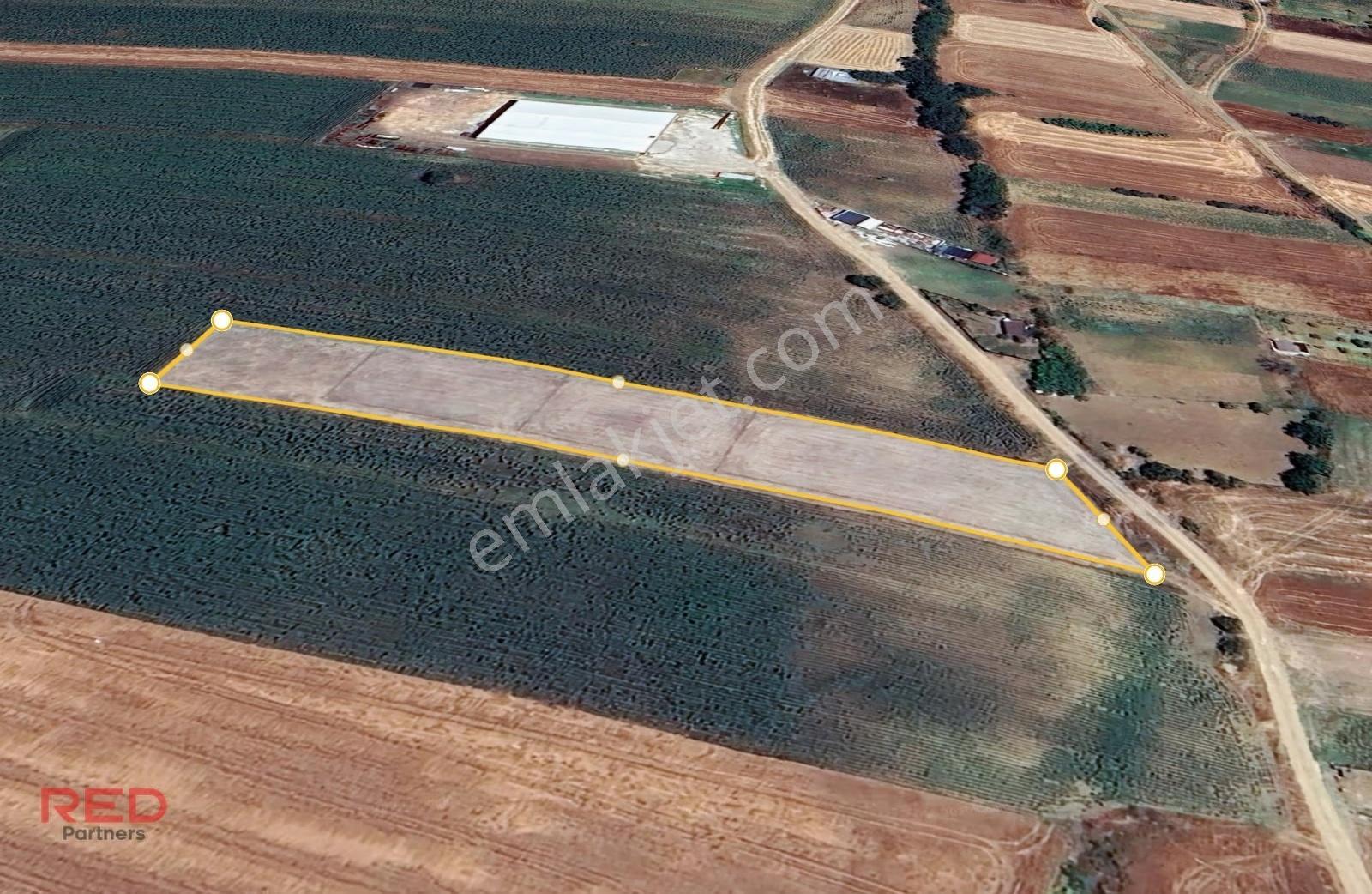 Lüleburgazda Yatırıma Uygun Müstakil Tapu Yola Cephe Arsa