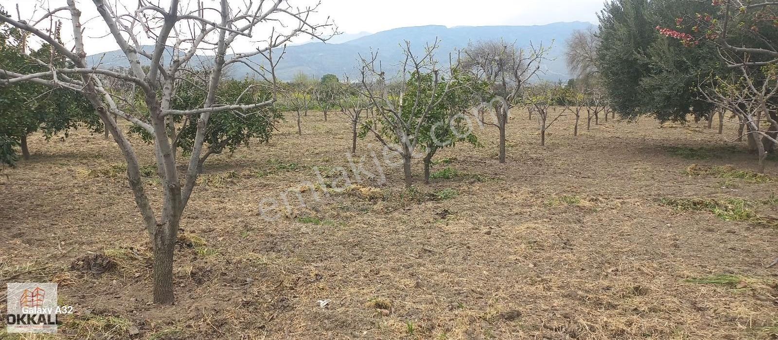 Okkalı Emlak Tan Menemen Yayla Mah. Satılık Tarla - Görsel 7