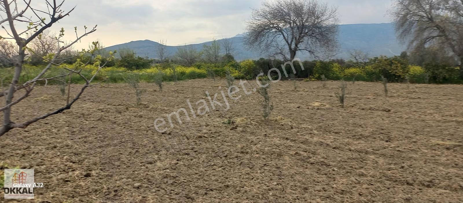 Okkalı Emlak Tan Menemen Yayla Mah. Satılık Tarla - Görsel 9
