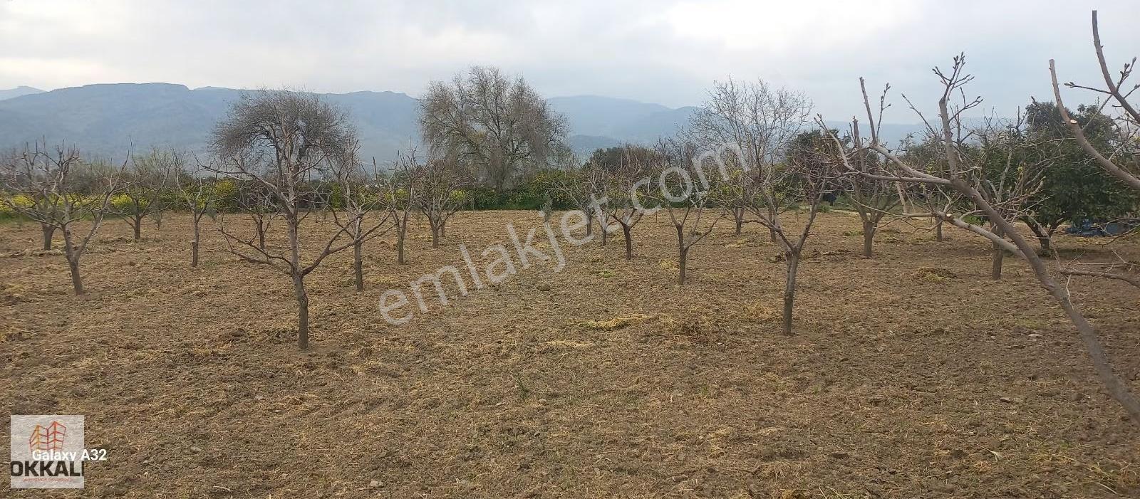 Okkalı Emlak Tan Menemen Yayla Mah. Satılık Tarla - Görsel 4