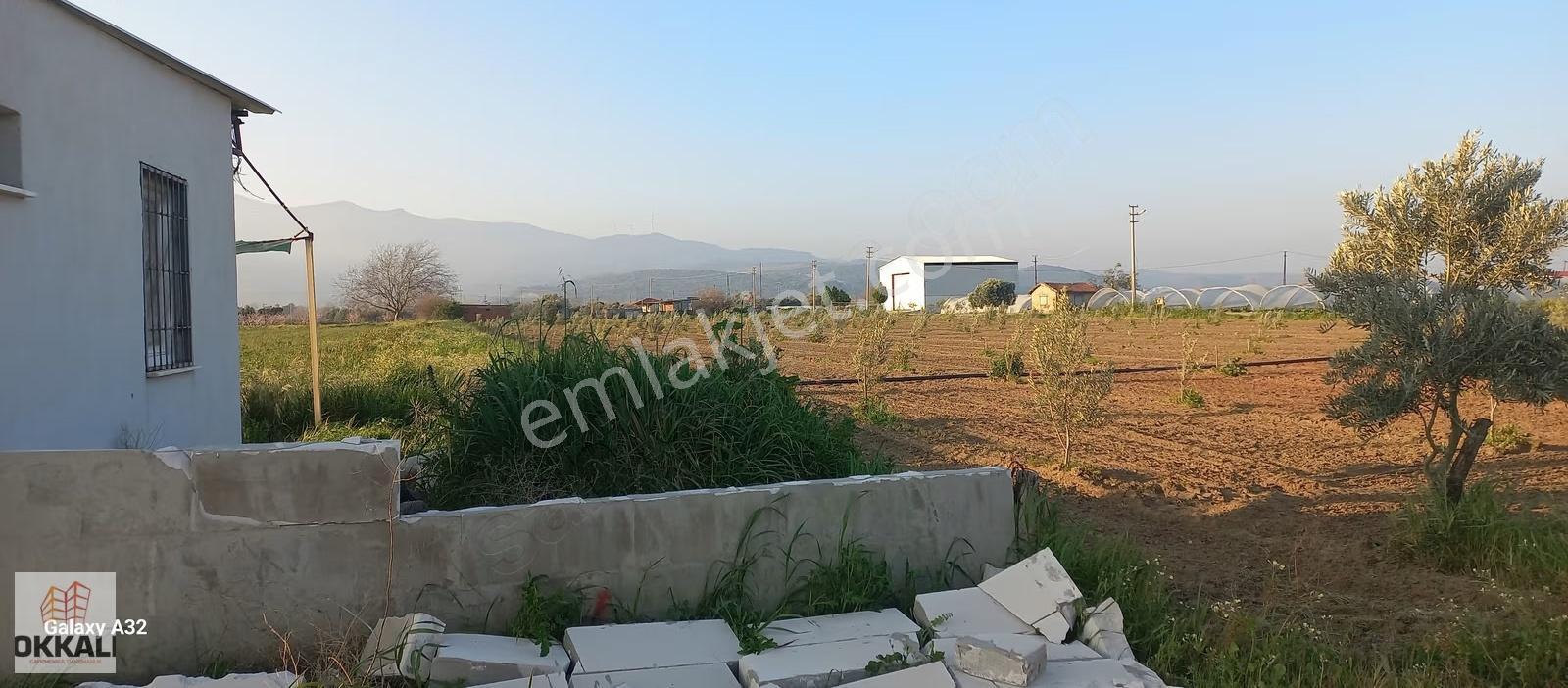 Okkalı Emlak Tan Menemen Emiralem De Satılık Tarla - Görsel 10
