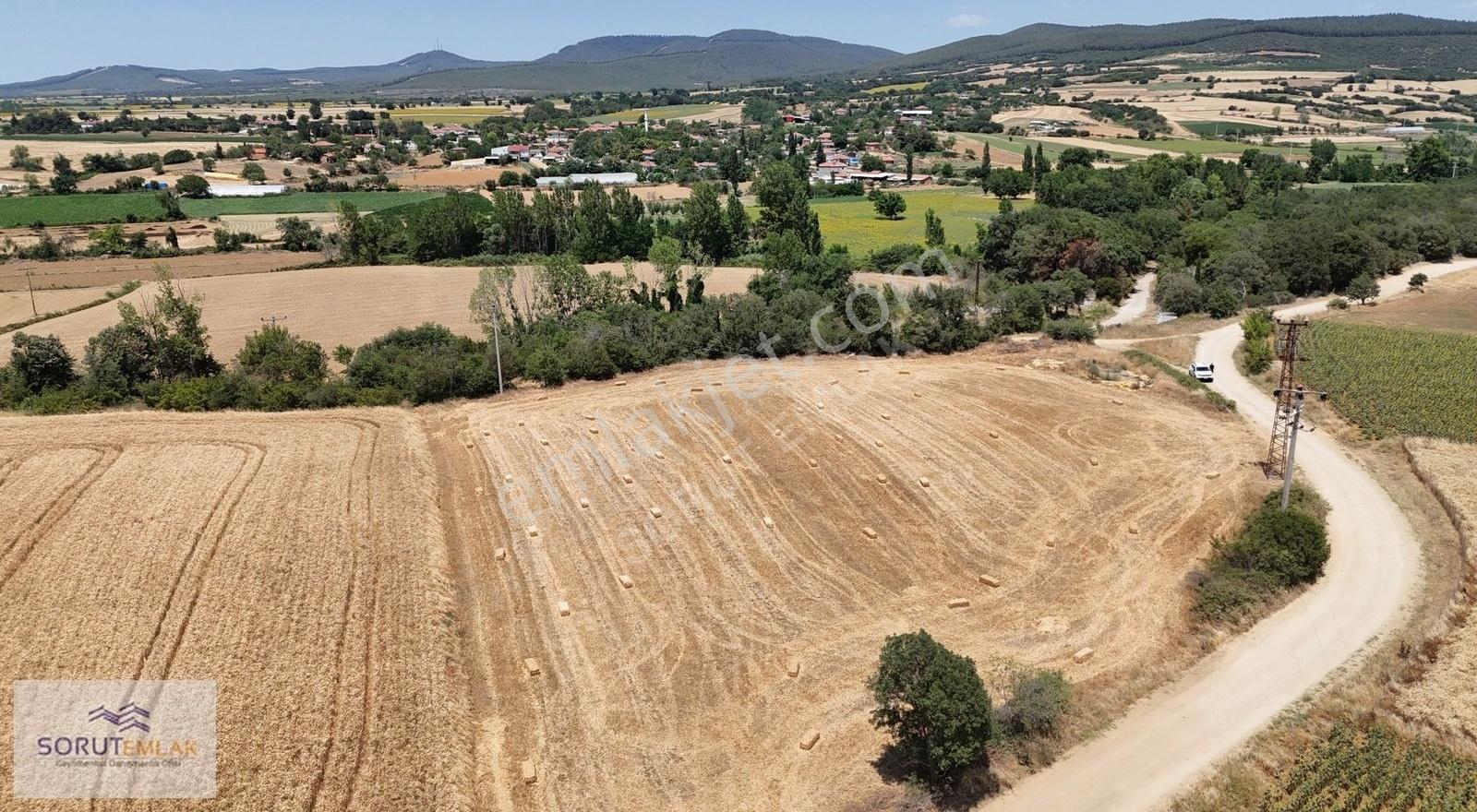 Seydiköy'de Resmi Yola Cepheli 5.800 M² Satılık Tarla - Görsel 22
