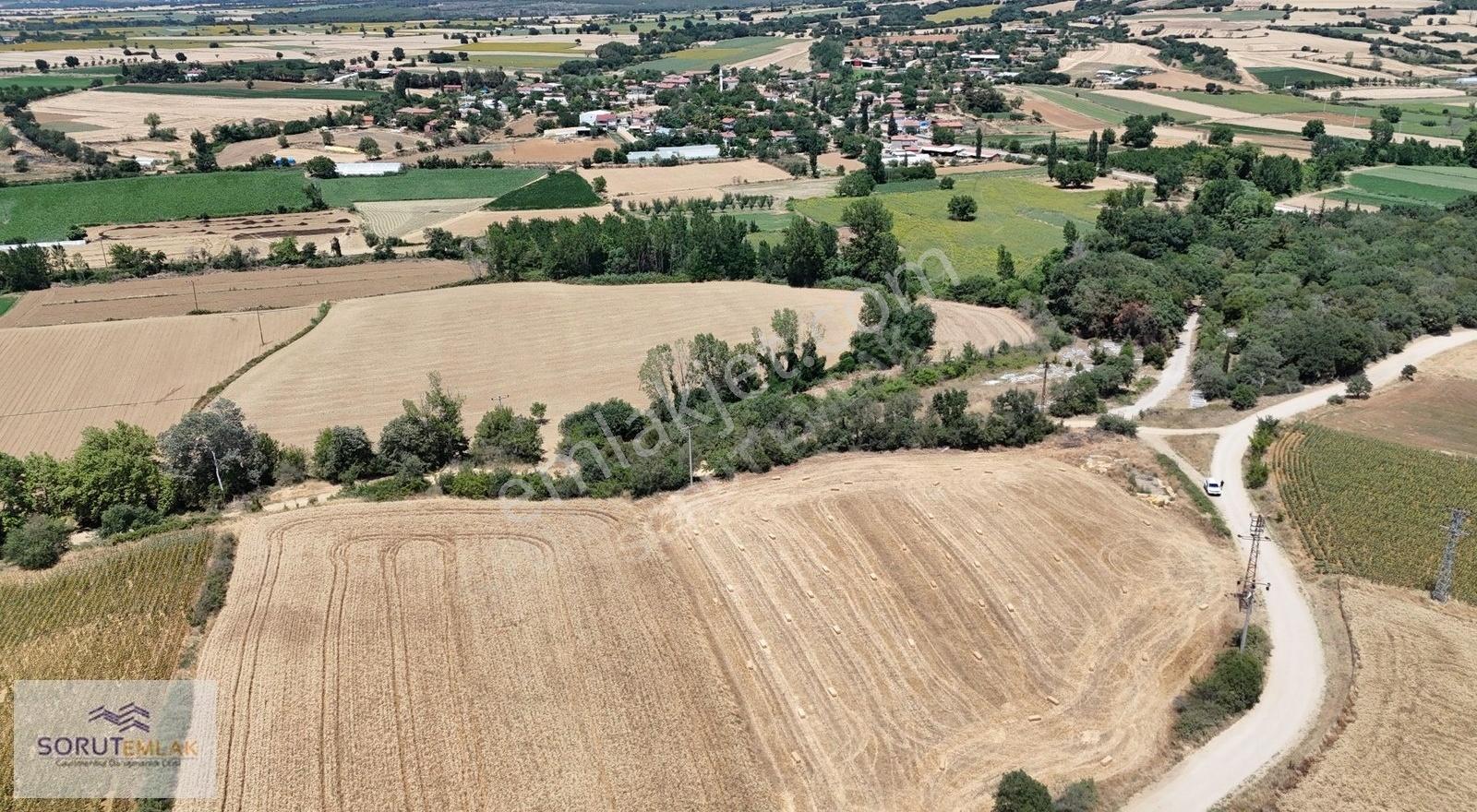 Seydiköy'de Resmi Yola Cepheli 5.800 M² Satılık Tarla - Görsel 17