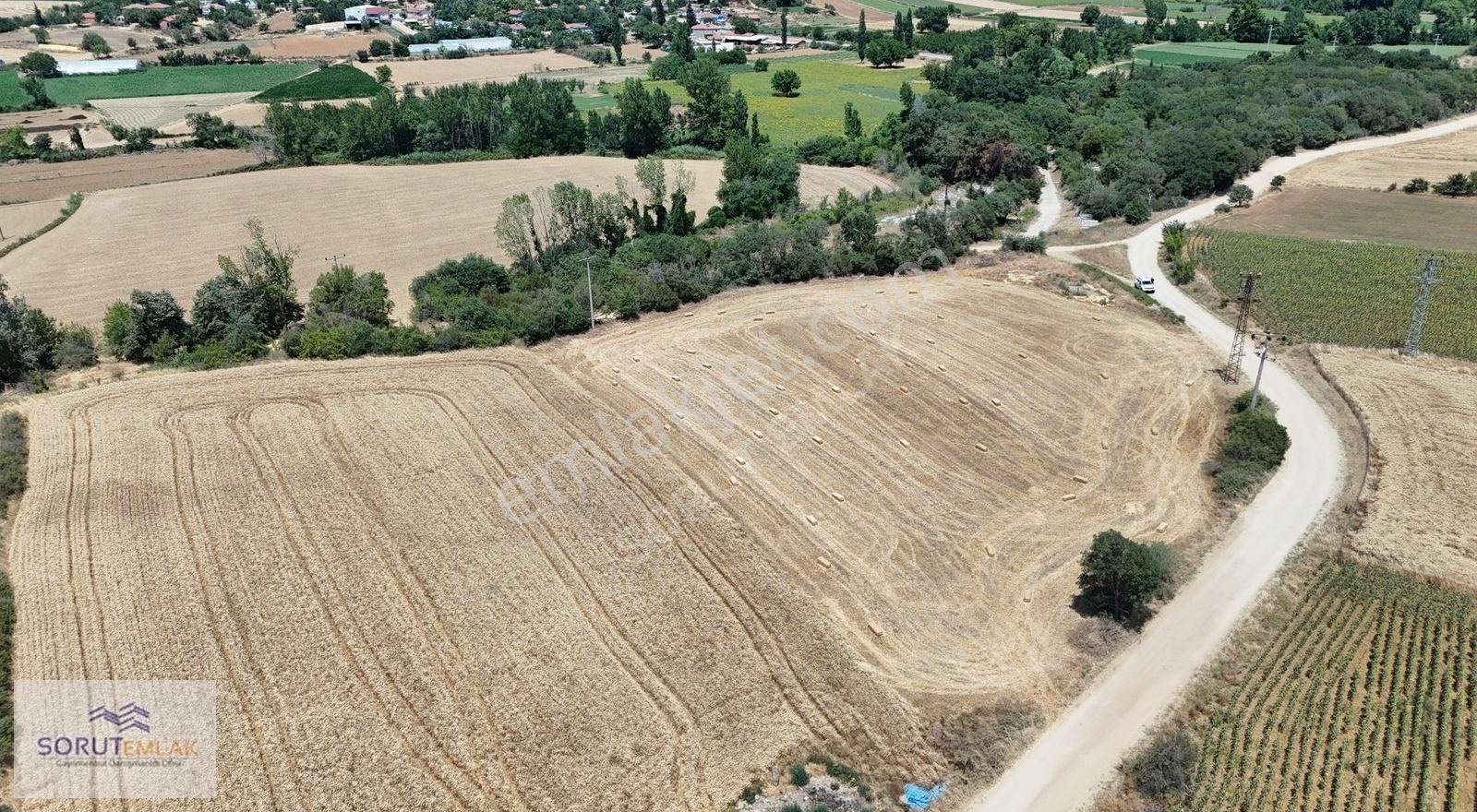 Seydiköy'de Resmi Yola Cepheli 5.800 M² Satılık Tarla - Görsel 10