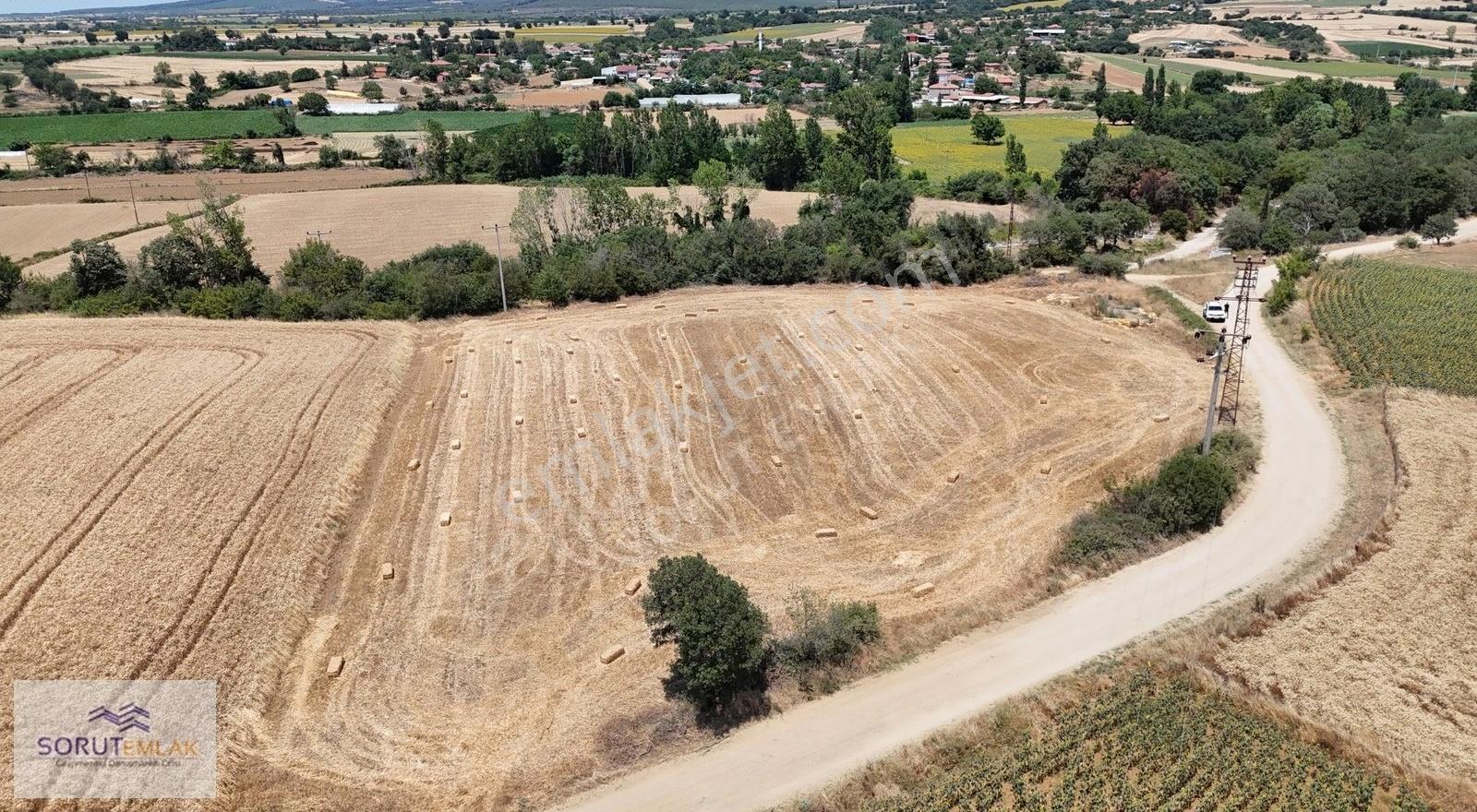 Seydiköy'de Resmi Yola Cepheli 5.800 M² Satılık Tarla - Görsel 15