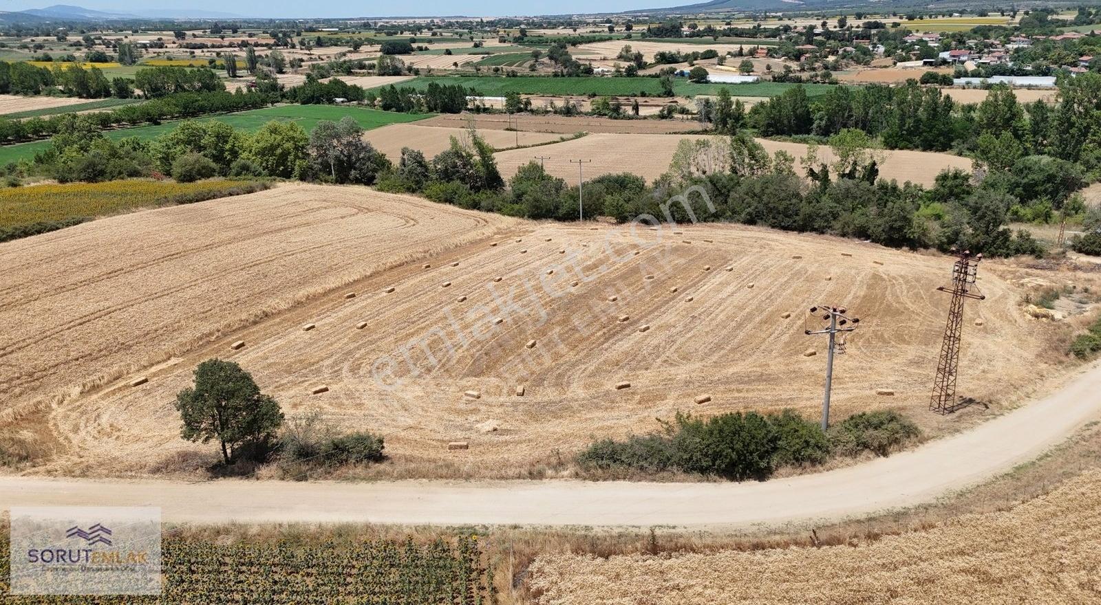 Seydiköy'de Resmi Yola Cepheli 5.800 M² Satılık Tarla - Görsel 8