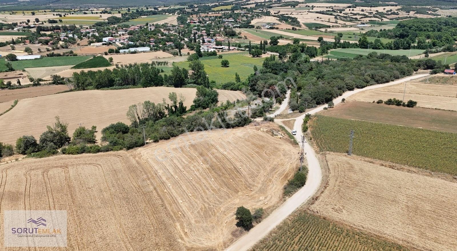 Seydiköy'de Resmi Yola Cepheli 5.800 M² Satılık Tarla - Görsel 23
