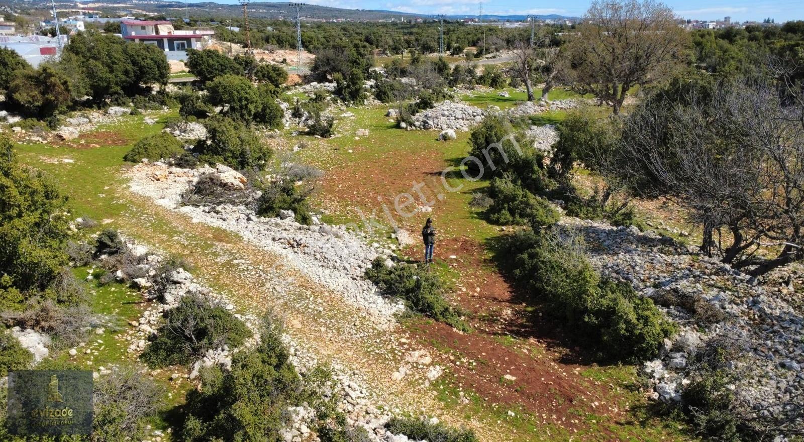 Mersin Erdemli Kayacı Asfalt Yola Sıfır 1.220 Metrekare Arsa - Görsel 6
