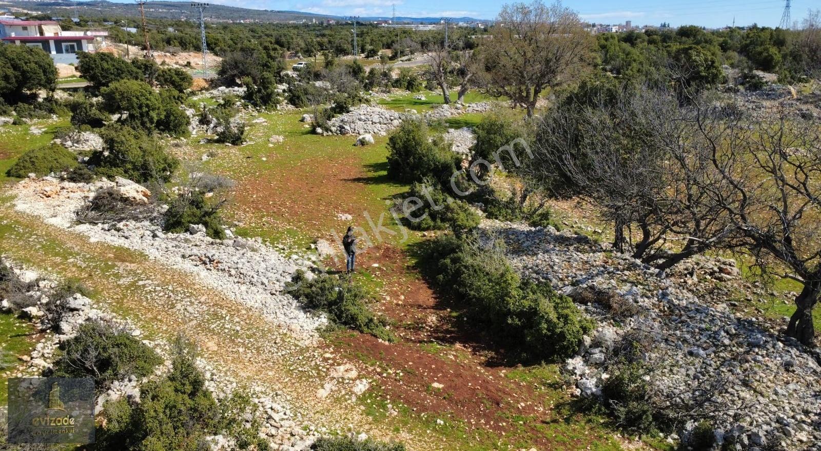 Mersin Erdemli Kayacı Asfalt Yola Sıfır 1.220 Metrekare Arsa - Görsel 3