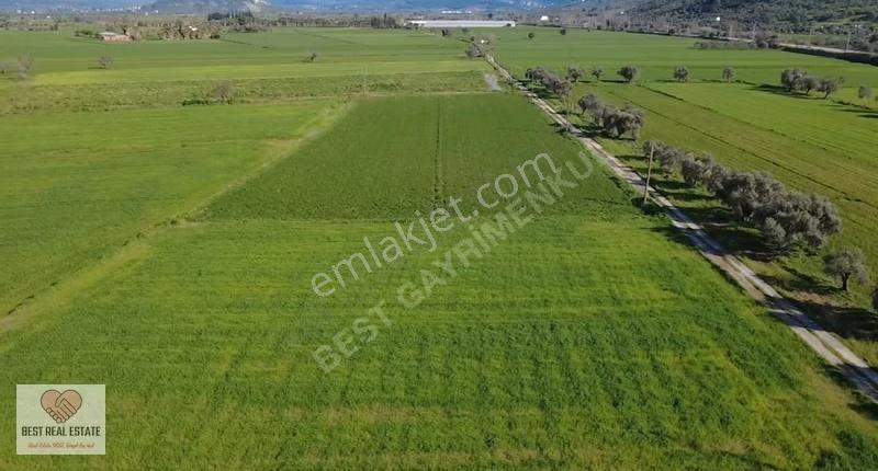 Milas Yakaköy De 14.380 M² Elektirik Suyu Olan Yola Sıfır Tarla - Görsel 24