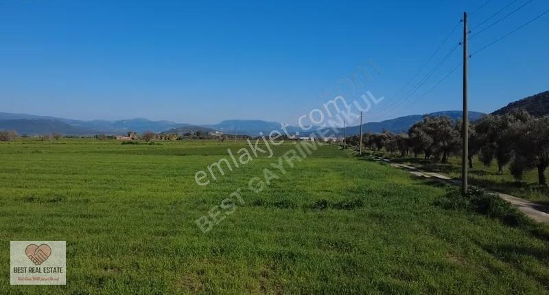 Milas Yakaköy De 14.380 M² Elektirik Suyu Olan Yola Sıfır Tarla - Görsel 27